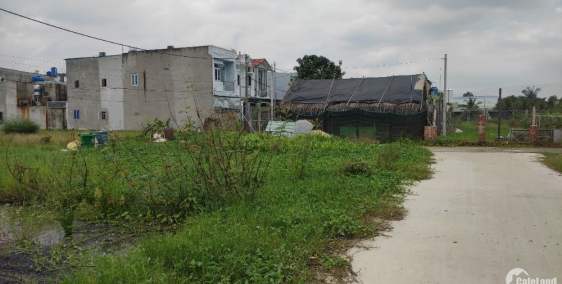 Đất vườn chính chủ 176m2 (8x22m). Bình Mỹ, Củ Chi. 1,2 tỷ