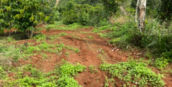 Diện tích 9 sào đất triền view đồi đẹp chỉ 1 tỷ, chính chủ bán rất gấp