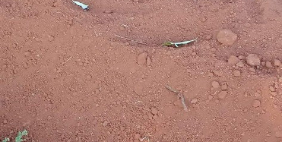 Chính chủ bán lô đất 600m thổ cư và 300 m đất nông nghiệp ngay km 664 mặt đường.