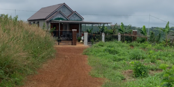 13000m2 đất đồi bằng thoải săn mây cực đẹp tại Tà Đùng