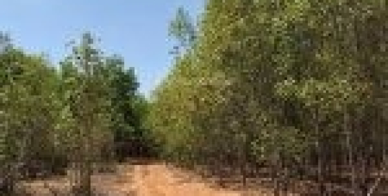 22629m2 đất giá chỉ 80k/m2 kế đường liên xã ngang 15m, vài bước chân tới kdl