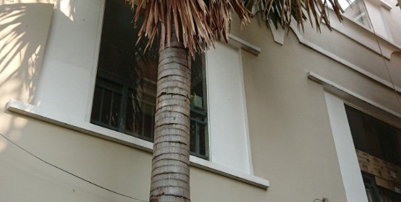 Chủ giảm giá hơn 1 tỷ còn 9.8 tỷ,  Phù hợp khách đầu tư và ở kinh doanh