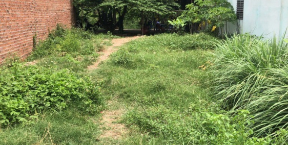 Chính chủ bán 325m2 thổ cư mặt tiền đường 30m xã Vình Lộc A, Bình Chánh giá 10 ỷ