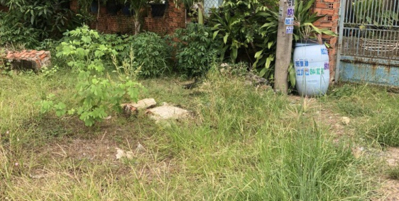 Bán đất thổ 1003.4m² tại đường Bến Than, Xã Hòa Phú, Huyện Củ Chi giá 15 tỷ.