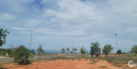 Cần bán đất summer land giá tốt cho nhà đầu tư