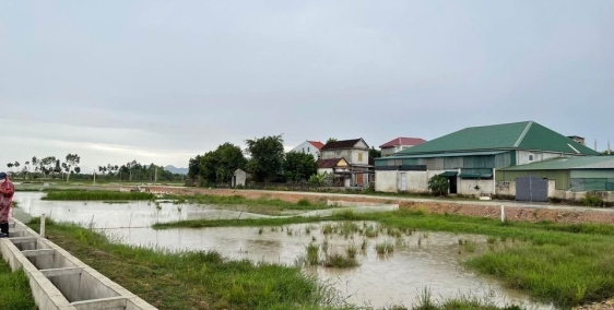 BẤT ĐÔNG SẢN ĐẤT NỀN SINH LỜI CHO NĐT