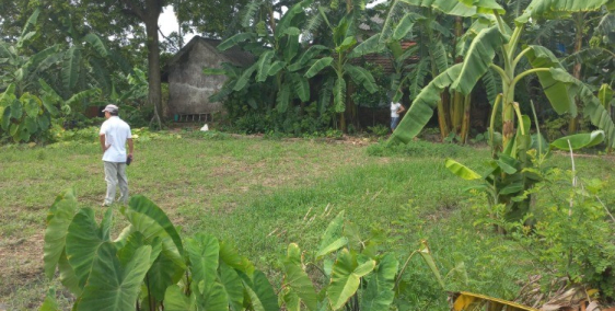 Rẻ như cho, 100m2 full thổ cư đất Ông Đình-Khoái Châu, giá tỷ nho nhỏ.