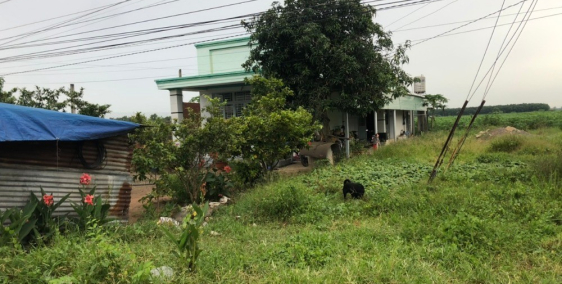 cần bán đất chính chủ mặt tiền ĐT785