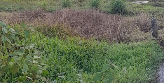 Đất nền gần chợ săm bua gần ngã tư săm bua