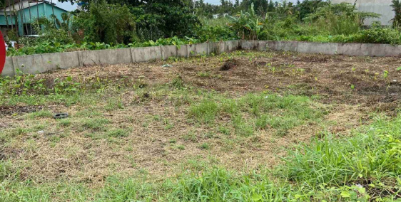 Cho thuê đất dài hạn (nhà vườn, trồng cây...)