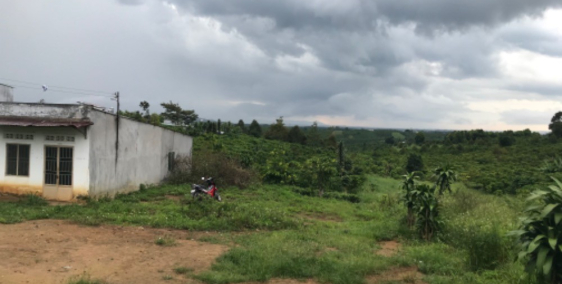 Cần tiền nên bán gấp - Đất tại Lộc An, Bảo Lâm, Lâm Đồng