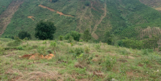 9,4 sào đất sổ sách đầy đủ chỉ 700tr. Cách Tà Đùng 3km