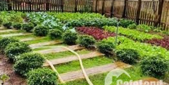 Đất vườn Củ Chi 500m2, 800m2, 1000m2, 2000m2 giá từ 1,8tr/m2