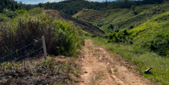 Bán đất Tà Đùng 20x50 có đường trên sổ giá chỉ 290tr