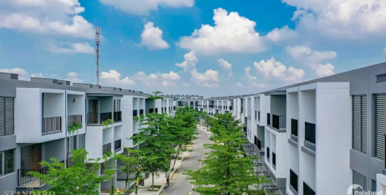 Nhà Phố Biệt Lập Thu Hút Chuyên Gia Nước Ngoài - Khai Thác Cho Thuê Siêu Lời