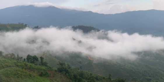 Mặt tiền Quốc lộ sẵn 100m2 thổ cư trung tâm Tà Đùng