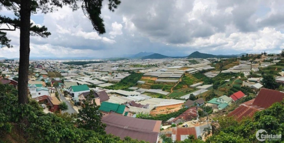 75m2 đất Đà Lạt chỉ 750tr. Mua sớm chờ thời - Sinh lời giá gốc sổ hồng hiện hành