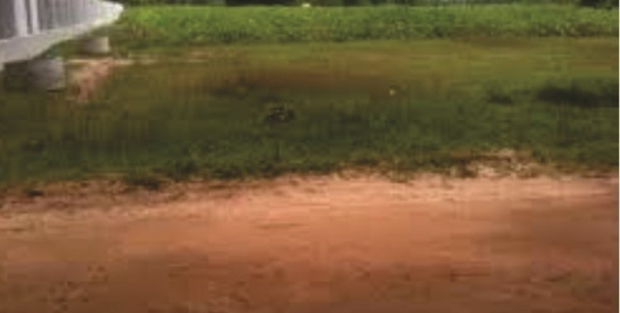 KHO BÃI LOGISTC -  TẠI THỊ XÃ MỸ HÀO – HƯNG YÊN – GIÁ TỐT