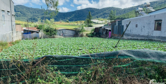 Bán 290m2 đất full thổ cư tại Lạc Xuân, Đơn Dương, Lâm Đồng giá 930tr