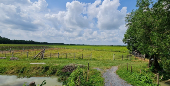 bán đất vườn củ chi giá rẻ 1,85tr/m2, sổ hồng riêng 1118m2