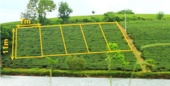 đất đầu tư view hồ view đồi chè 150m2 80mc bảo lộc  shr