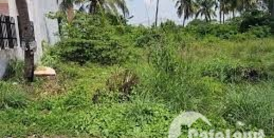 Bỏ Phố Về Vườn - Hàm Thuận Farmstay