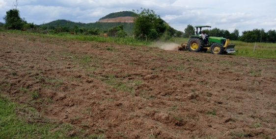 Bán 1261m2 đất sào hồng liêm có sẵn đường đất, cây trồng chỉ 353tr Lh 0938677909