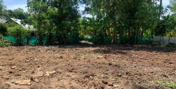 Bán đất Diên Xuân giá chỉ 500trđ lô