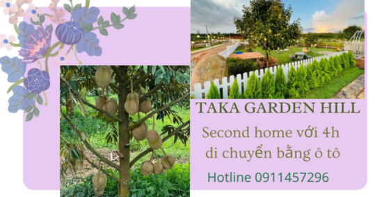 3tr/m2 sổ sẵn công chứng ngay, đất đường nhựa trồng sầu riêng sẵn khu dân cư