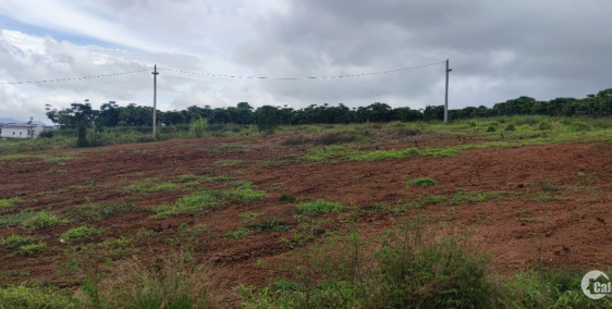 Cần bán đất vị trí đắc địa tại Lộc Phát- Bảo Lộc