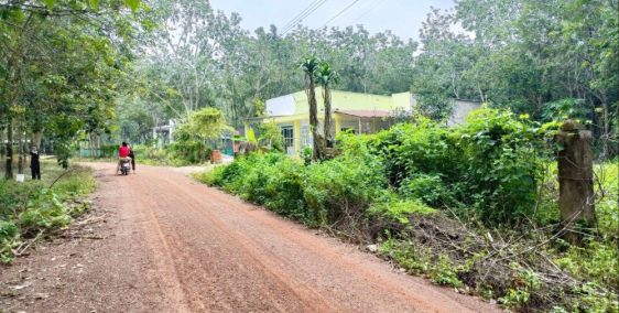 Đất Dầu Tiếng xã Long Hòa gần khu công nghệ cao Becamex 20x24+100tc giá 1ty2 SHR