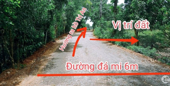 Bán gấp sào đất ngay UBND xã La Ngà cách QL20 1km