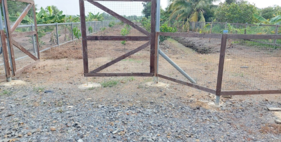 Bán 2 lô đất vườn 900m2 1 xẹt TL15 , Phú Hòa Đông ,Củ Chi