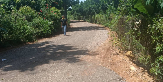 Bán nhanh vườn xoài gia đình đã có thể thu hoạch từ 800tr/sào ngay khu dân