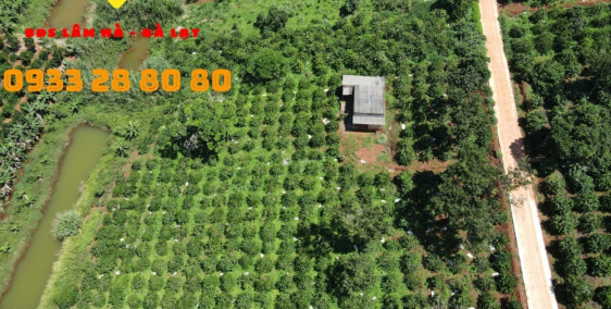 100x42 QH 80% thổ cư, ven Đà Lạt , View Nghỉ Dưỡng, tiện tách thửa
