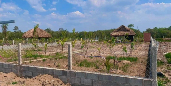 Đất chính chủ gửi bán Củ Chi - 800m2, Chỉ 1 tỷ 500