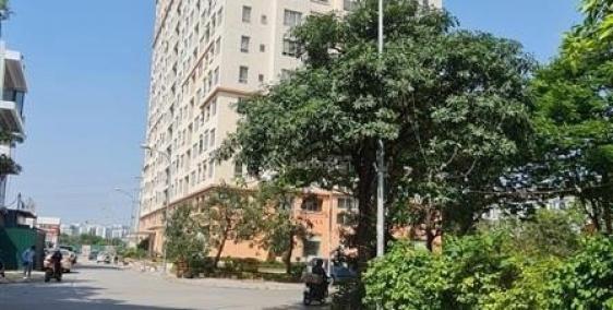 Bán gấp 175m2 đất Lk kđt Sài Đồng Long Biên,hàng xóm vinhomes,kd-vp,100tr/m2