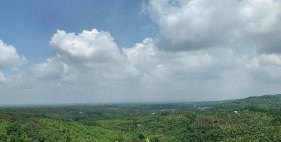 Bán đất vườn 1000m2 ngay trung tâm Thống Nhất Đồng Nai, Ngân hàng hỗ trợ vay 60%