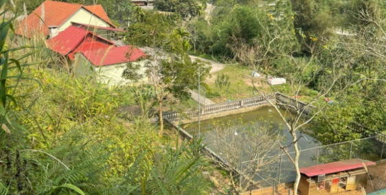 Cần bán gấp trang trại nhà vườn