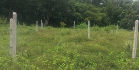 Đất chính chủ sỗ sách chỉnh tề khu vực quy hoạch đất ở!!! Đất cln