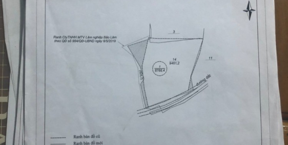 CHÍNH CHỦ BẤN ĐẤT BẢO LÂM - LÂM ĐỒNG
