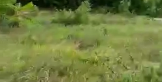 CC bán Lô Đất Duy châu,Duy Xuyên ,Hàng F0 chưa qua đầu tư