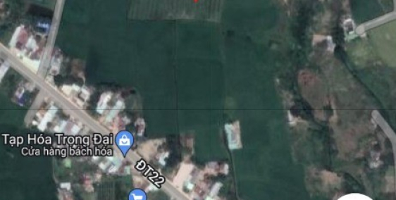 cần tiền bán gấp 5.500 đất cln giá rẻ, chính chủ