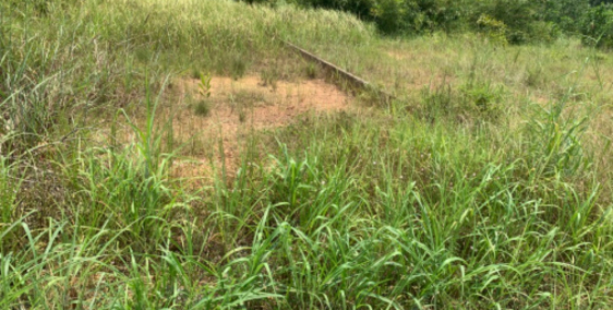 bán đất khu vực nhơn trạch giá rẻ