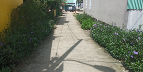 Bán đất khối 3 Thị trấn núi thành