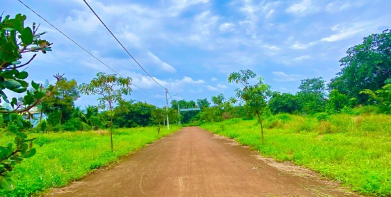 [ Siêu Phẩm ] còn 2 lô cuối Đất ODT TTHC Phước Long giá mềm