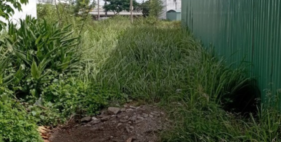 Cần bán 1 lô đất thuộc khu dân cư hiện hữu, đã có sổ hồng riêng 2011.