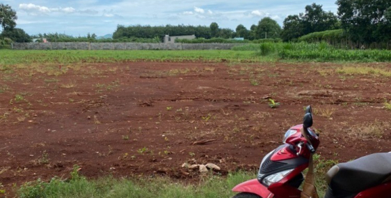 Bán đất tiềm năng lớn, với nhiều chính sách ưu đãi dành cho KH trong tháng này