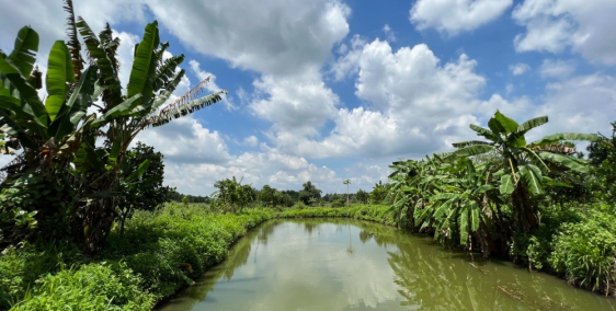 ĐẤT SÀO BÀU CẠN CÓ SẴN VƯỜN TRÁI CÂY GIÁ CHỈ 2,5 TR/M2 , CÁCH SÂN BAY LONG THÀNH