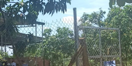 Bán đất vườn xoài gia đình ngay đối diện KCN Định Quán cách QL20 1km giá 800tr